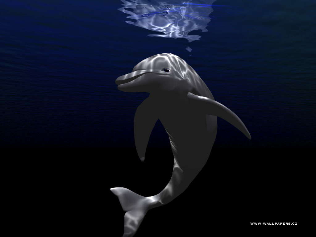 DELFIN.JPG